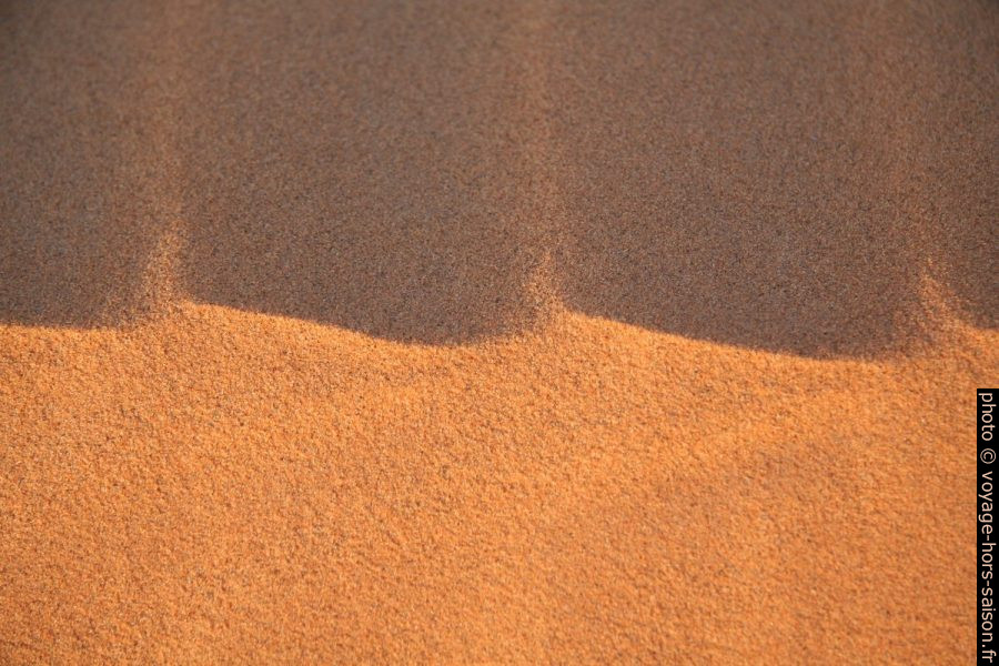 Ombres des vagelettes sur la crête de dune. Photo © Alex Medwedeff