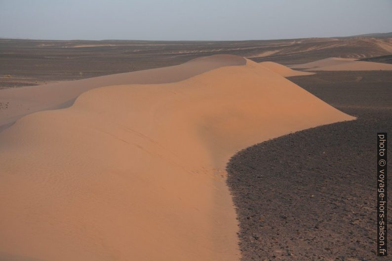 Dunes dans la lumière matinale. Photo © Alex Medwedeff