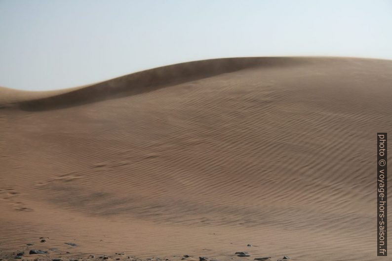 Vent de sable. Photo © Alex Medwedeff