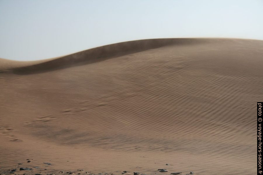 Vent de sable. Photo © Alex Medwedeff