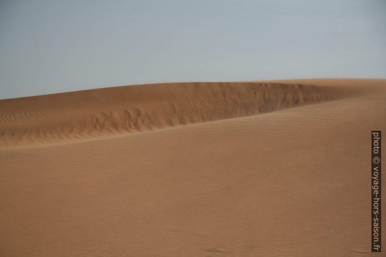 Vent de sable. Photo © Alex Medwedeff