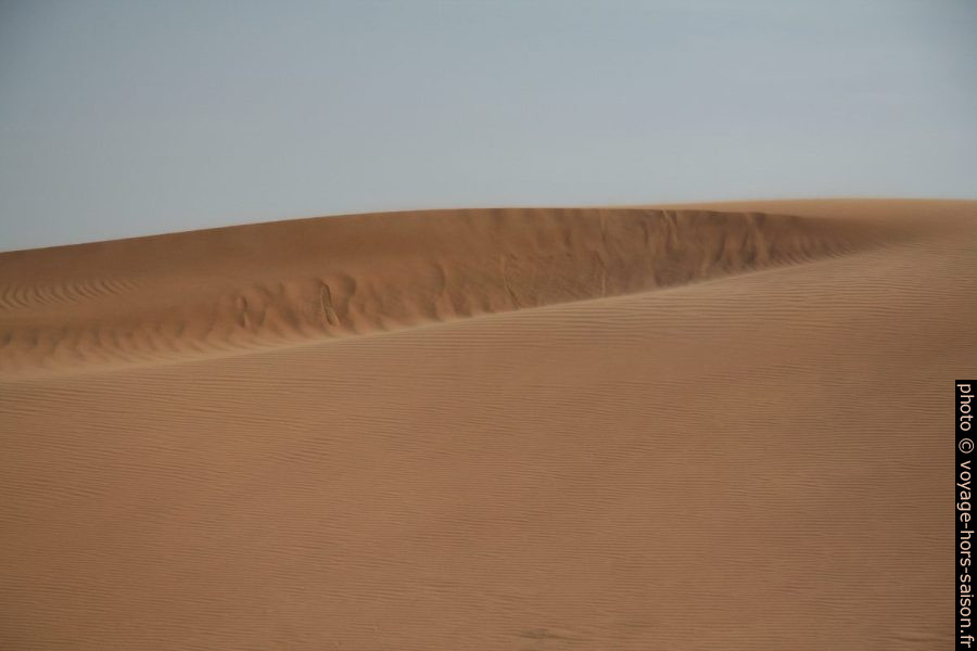 Vent de sable. Photo © Alex Medwedeff