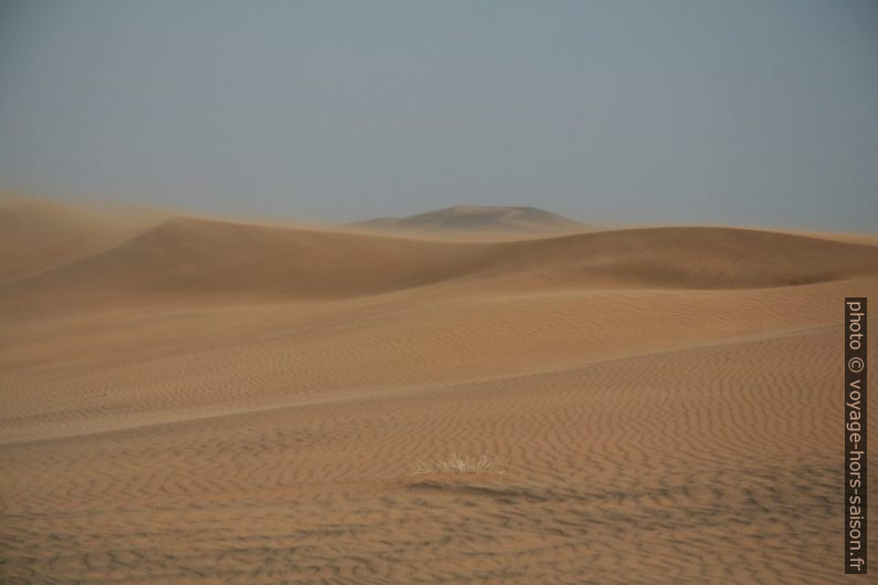 Vent de sable. Photo © Alex Medwedeff