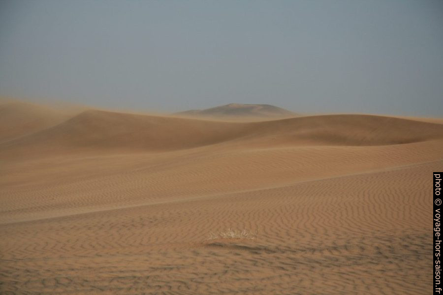 Vent de sable. Photo © Alex Medwedeff