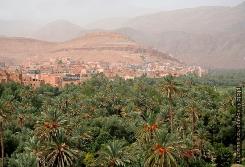 Oasis de Tinerhir. Photo © Alex Medwedeff