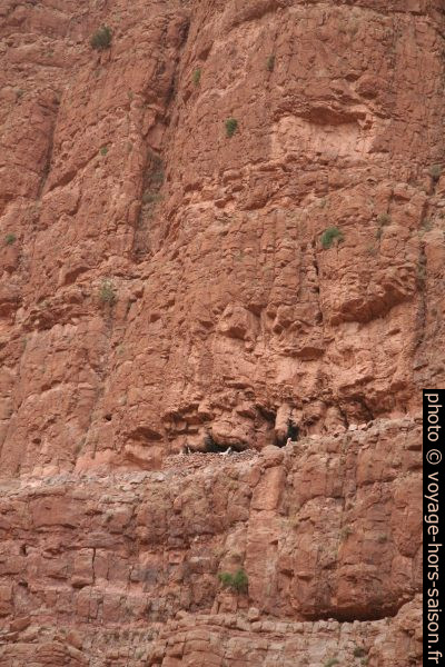 Abri de bergers dans les paroies rocheuses des Gorges de la Todra. Photo © André M. Winter