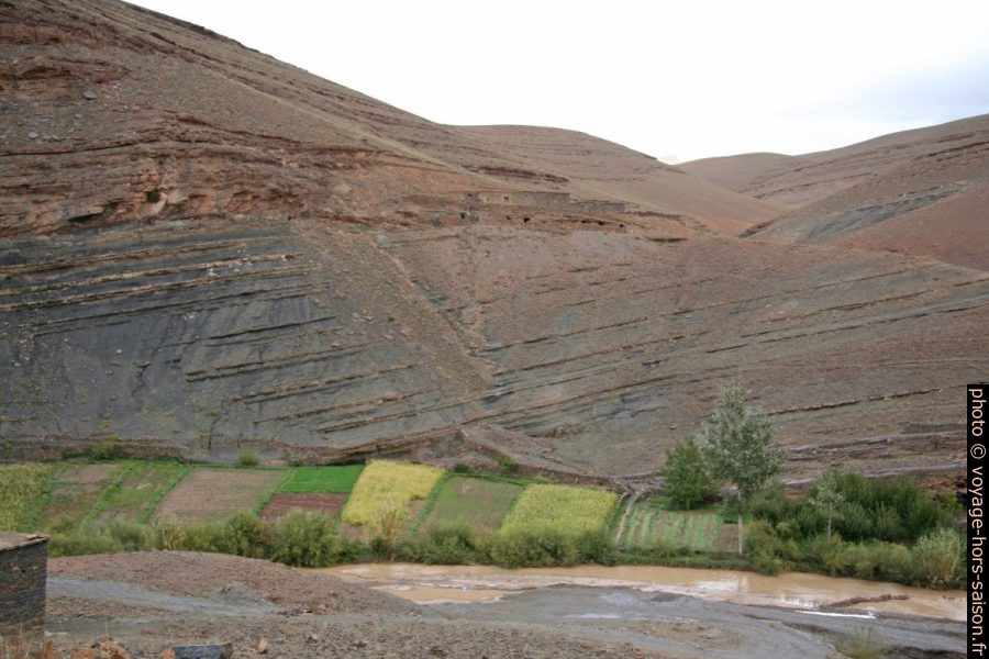 Culture maraîchère dans la haute vallée du Dadès. Photo © André M. Winter