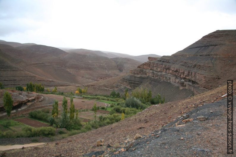 Cultures dans la haute vallée du Dadès. Photo © Alex Medwedeff