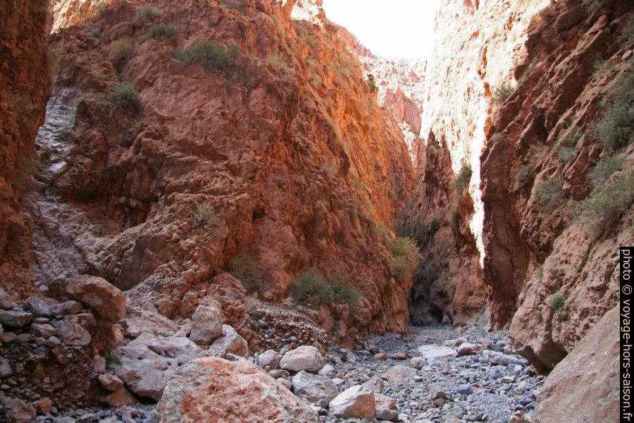 Bifurcation dans la deuxième section du canyon (vallée du Dadès). Photo © André M. Winter