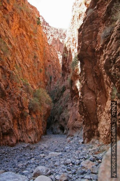 Dans la deuxième partie du deuxième canyon. Photo © André M. Winter