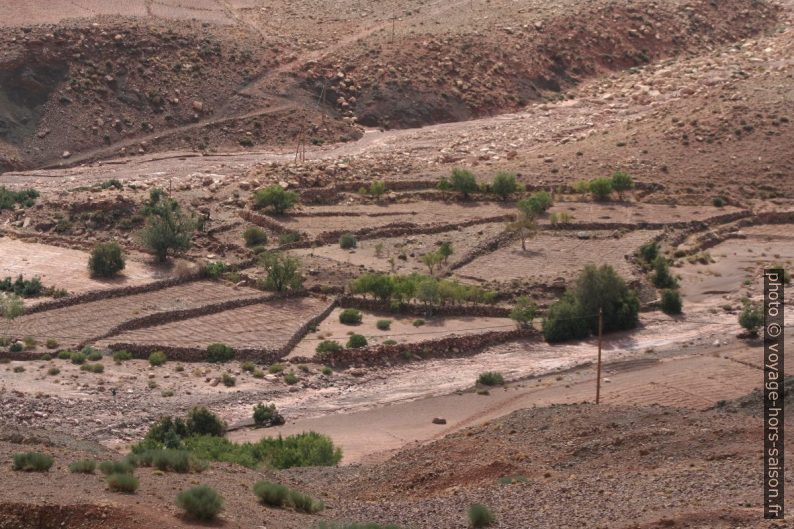 Champs dans la Haut Atlas à Abadou. Photo © André M. Winter