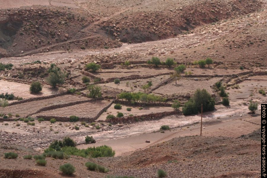 Champs dans la Haut Atlas à Abadou. Photo © André M. Winter