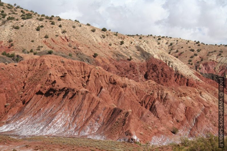 Terres rouges et concrétions salines. Photo © André M. Winter