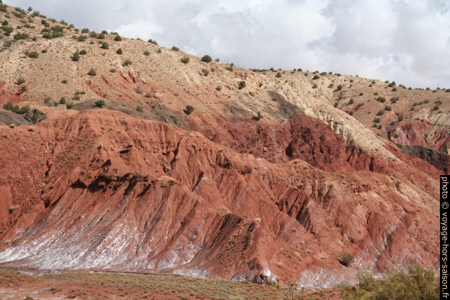 Terres rouges et concrétions salines. Photo © André M. Winter