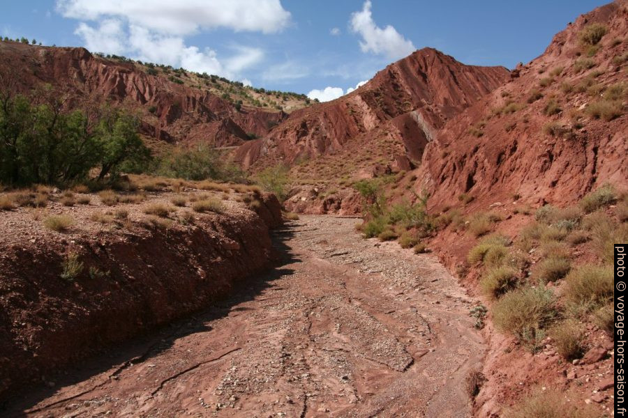 Oued dans les terres rouges du Haut Atlas. Photo © André M. Winter