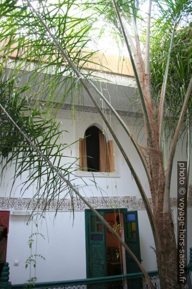 Palmier dans la cour du Riad Célia. Photo © Alex Medwedeff