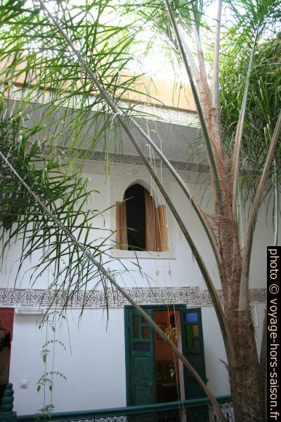 Palmier dans la cour du Riad Célia. Photo © Alex Medwedeff