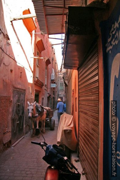 Chariot d'âne dans le quartier de la Mellah. Photo © André M. Winter