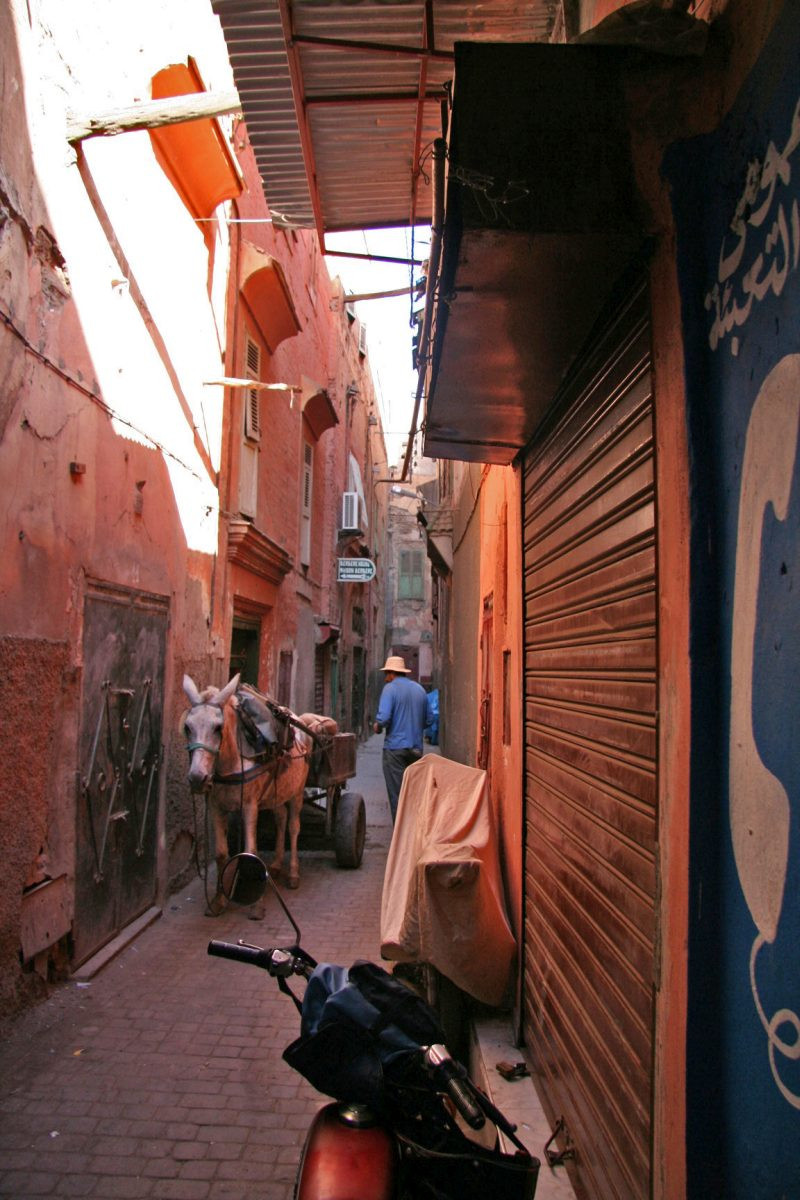 Chariot d'âne dans le quartier de la Mellah. Photo © André M. Winter