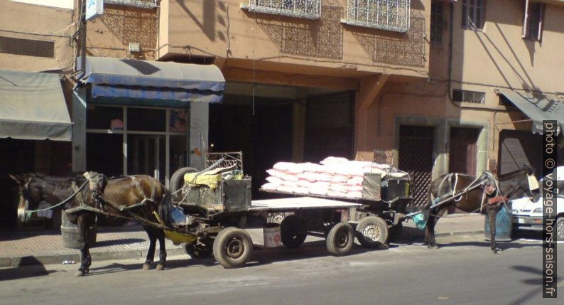 Chariots avec mulets dans le centre de Marrakech. Photo © André M. Winter