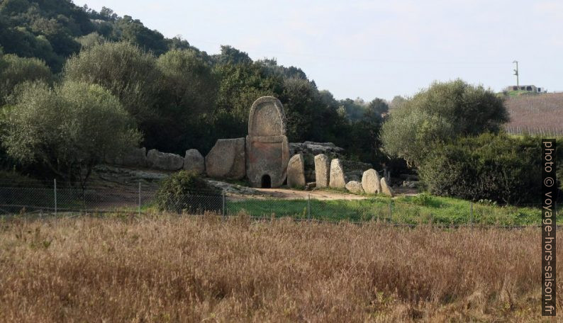 Tombe des géants de Coddu Vecchiu. Photo © André M. Winter