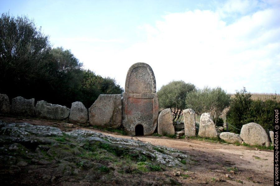 Sur le site de la tombe des géants de Coddu Vecchiu. Photo © André M. Winter