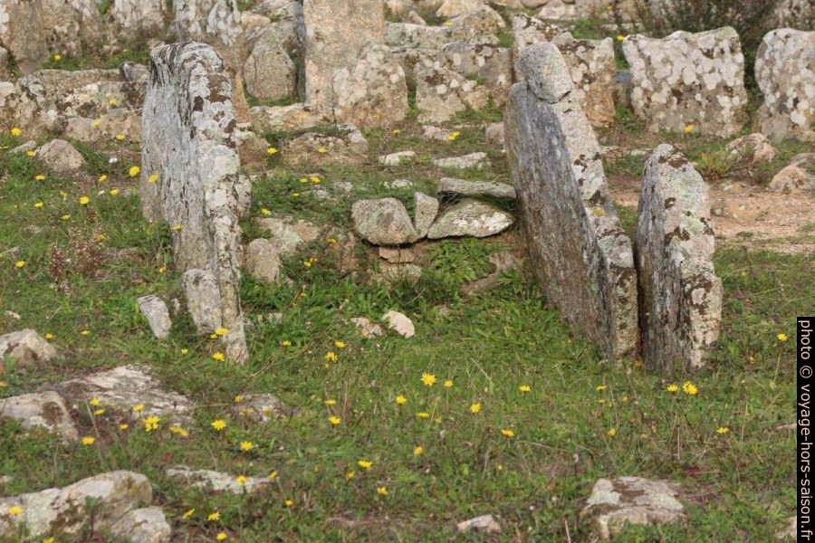 Dalles latérales d'une chambre funéraire de la nécropole Li Muri. Photo © André M. Winter