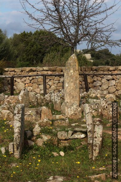 Chambre funéraire et menhir dans la nécropole Li Muri. Photo © André M. Winter