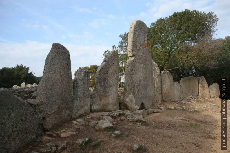 Tombe des géants de Li Lolghi. Photo © Alex Medwedeff