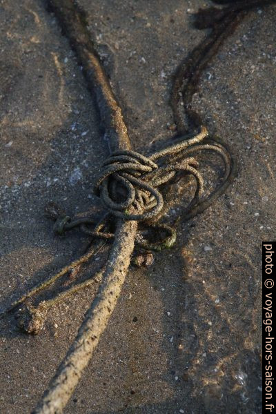 Amarre et cordes dans le sable. Photo © Alex Medwedeff