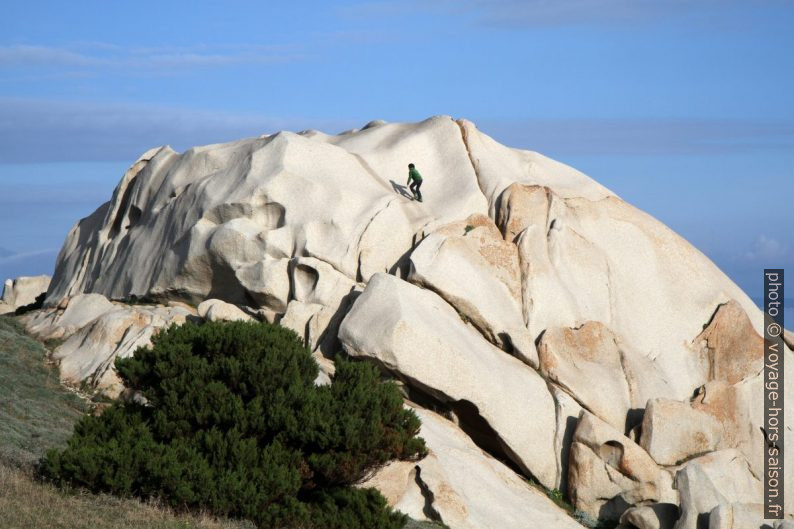 Nicolas grimpe sur un grand rocher de granit. Photo © Alex Medwedeff