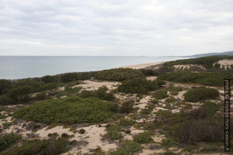 Dunes de Badesi et l'Isola Rossa. Photo © Alex Medwedeff