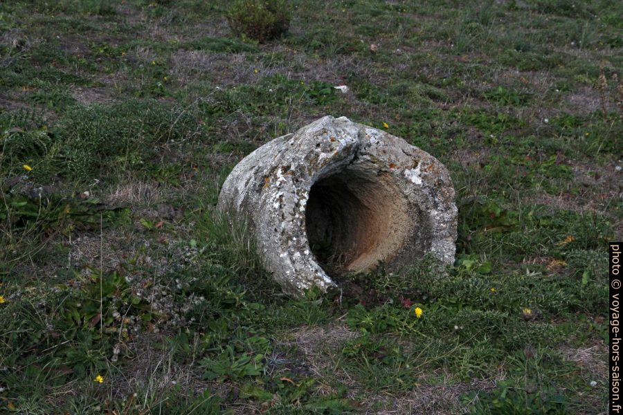 tronc de genévrier pétrifié dans la forêt de Carrucana. Photo © André M. Winter