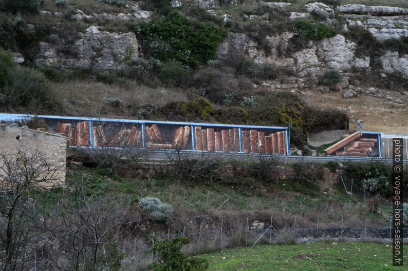 Murales sur la route de Borutta. Photo © Alex Medwedeff