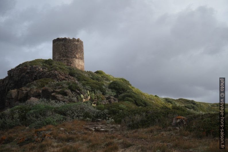 Torre Foghe vu du cap Foghe. Photo © Alex Medwedeff