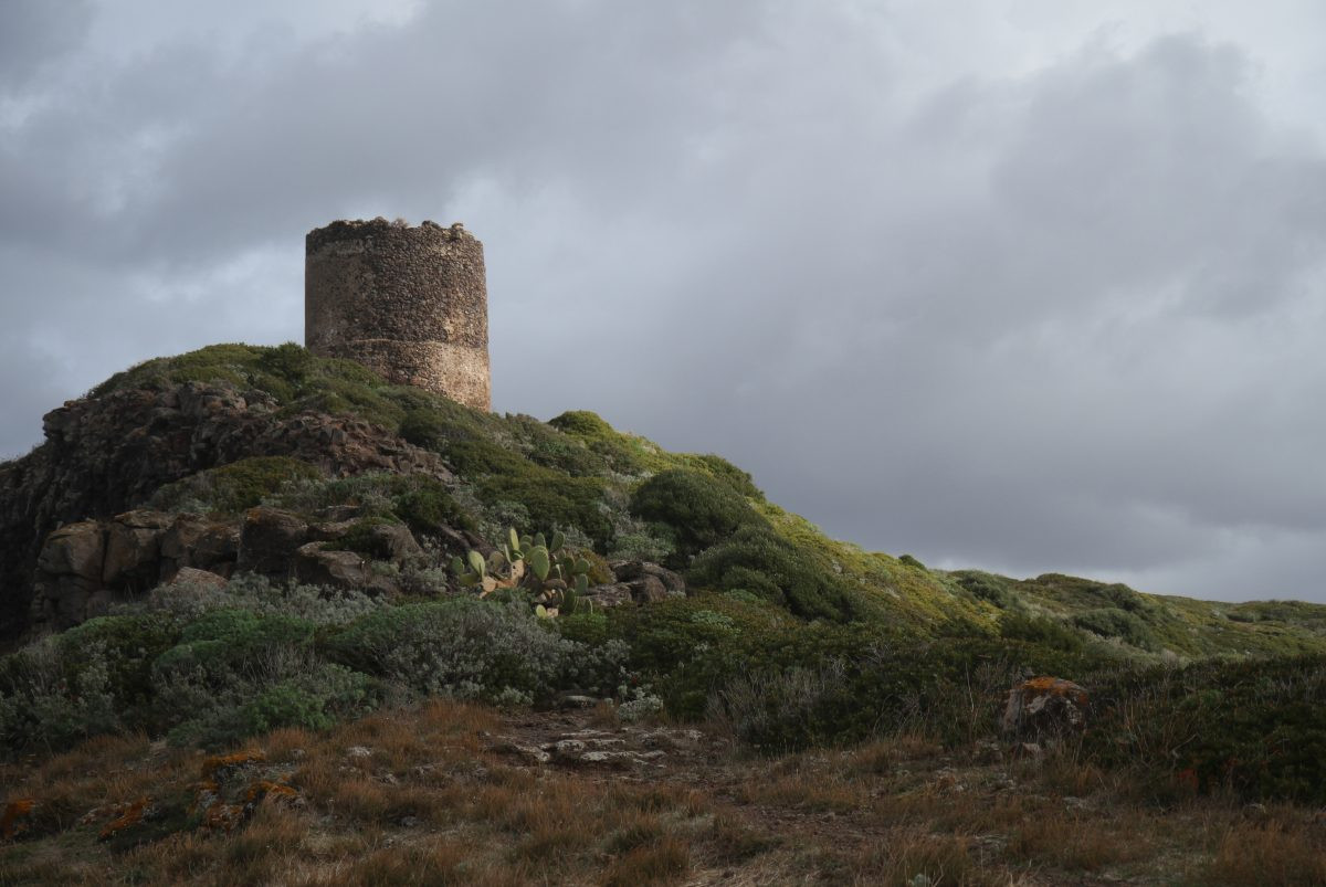 Torre Foghe vu du cap Foghe. Photo © Alex Medwedeff