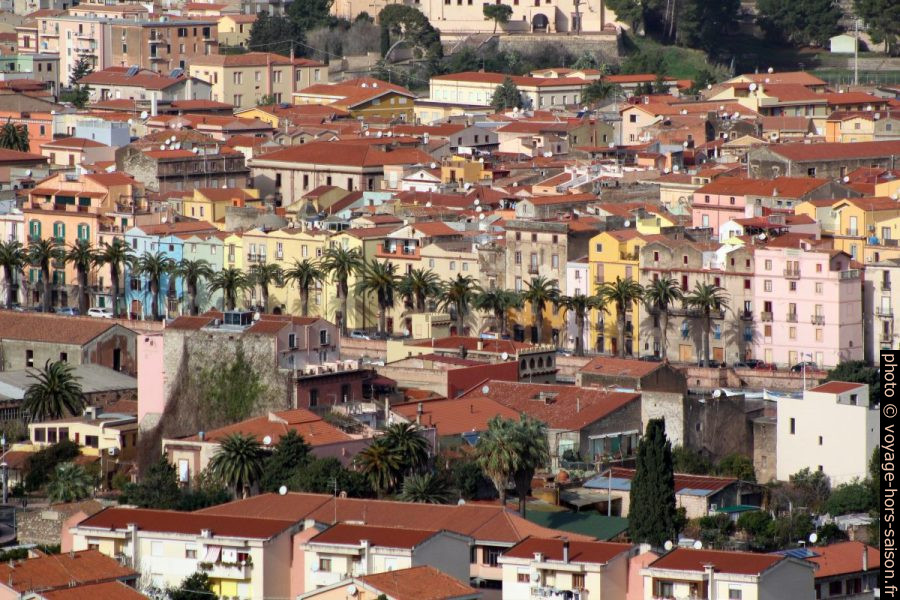 Palmiers sur la Via Lungo Temo de Gasperi à Bosa. Photo © André M. Winter