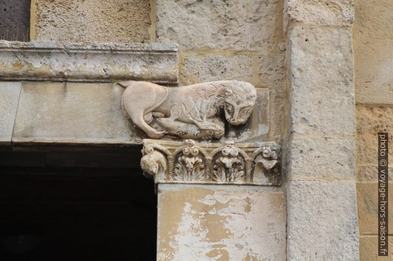 Lion mâle au sexe très apparent sur le linteau principal de Santa Giusta. Photo © André M. Winter