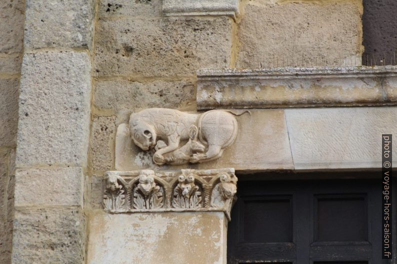 Lionne sur le linteau principal de Santa Giusta. Photo © André M. Winter