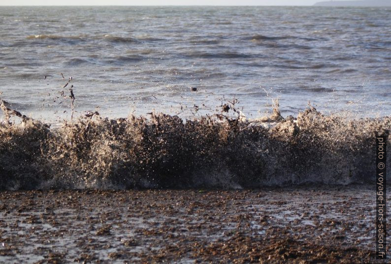 Une vague déferlante brassant les herbes de posidonie mortes. Photo © André M. Winter