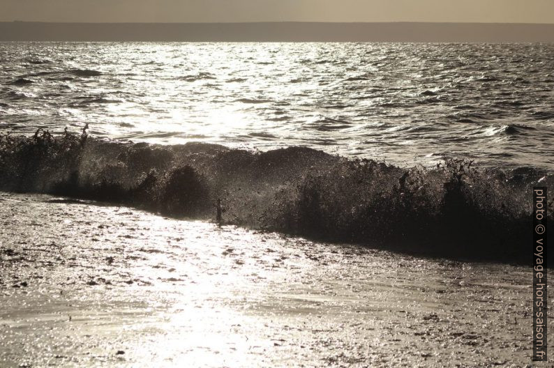 Une vague remuant les herbes de posidonie mortes. Photo © André M. Winter