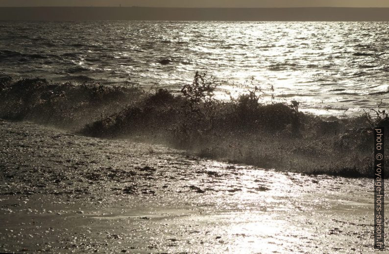 Une vague remue les herbes de posidonie mortes. Photo © André M. Winter