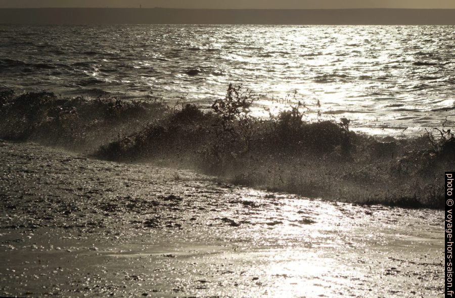 Une vague remue les herbes de posidonie mortes. Photo © André M. Winter