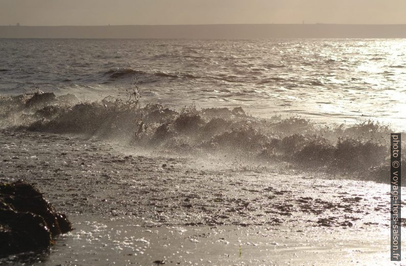 Une vague remue les herbes de posidonie mortes. Photo © André M. Winter