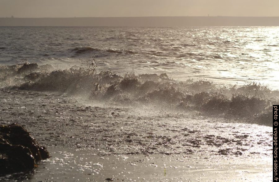 Une vague remue les herbes de posidonie mortes. Photo © André M. Winter