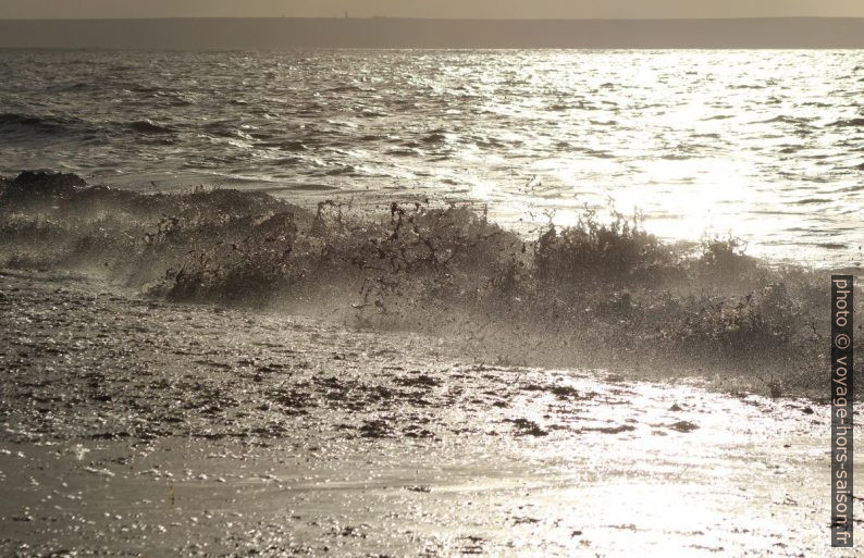 Vague remuant les herbes de posidonie mortes. Photo © André M. Winter