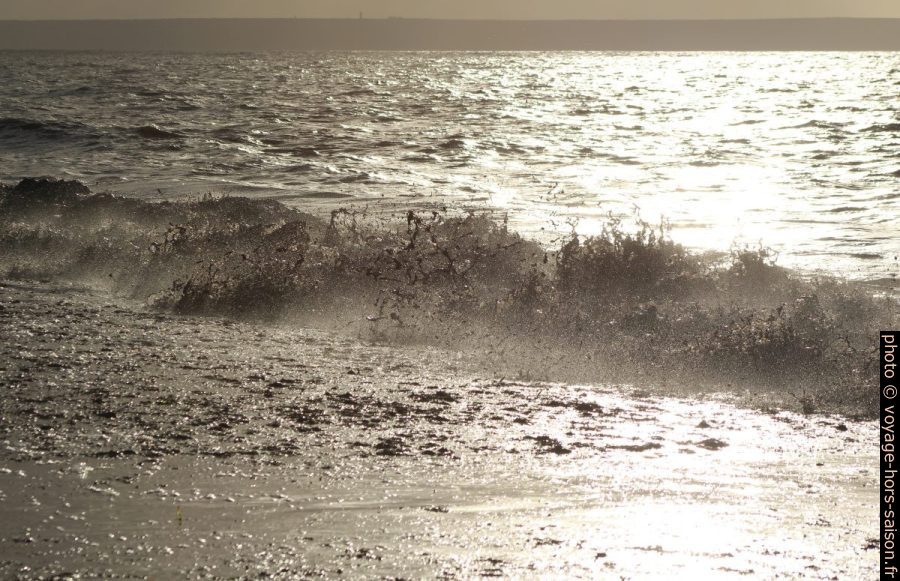 Vague remuant les herbes de posidonie mortes. Photo © André M. Winter