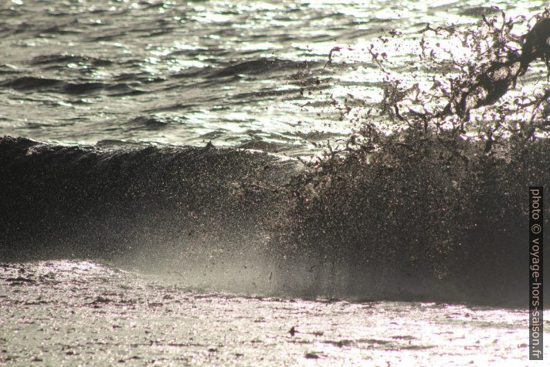 Vague hachant les herbes de posidonie mortes. Photo © André M. Winter