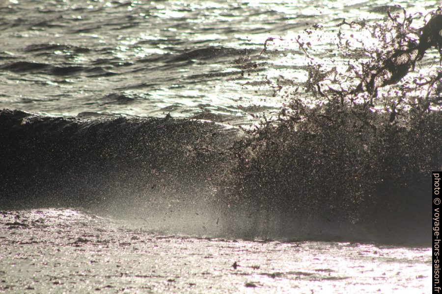 Vague hachant les herbes de posidonie mortes. Photo © André M. Winter