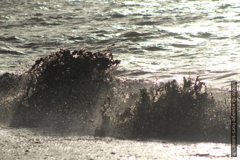 Une vague hache des herbes de posidonie mortes. Photo © André M. Winter